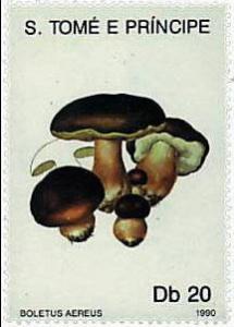 Colnect-857-085-Boletus-aereus.jpg