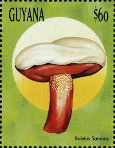 Colnect-3122-304-Boletus-satanas.jpg