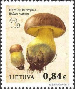 Colnect-3143-238-Boletus-radicans.jpg