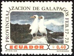 Colnect-2305-030-Nazca-Booby-nbsp-Sula-granti.jpg