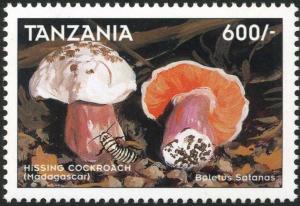 Colnect-3249-888-Boletus-satanus.jpg