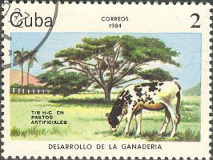 Colnect-679-251-Cattle-Bos-primigenius-taurus.jpg