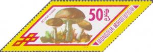 Colnect-905-844-Boletus-scaber.jpg