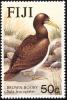 Colnect-1595-847-Brown-Booby-Sula-leucogaster.jpg