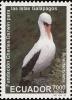 Colnect-1712-917-Nazca-Booby-Sula-dactylatra.jpg