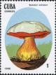 Colnect-2875-893-Boletus-satanas.jpg