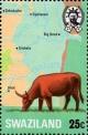 Colnect-2915-227-Cattle-Bos-primigenius-indicus.jpg