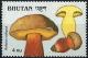 Colnect-2930-749-Boletus-calopus.jpg