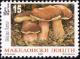 Colnect-567-383-Boletus-aereus.jpg