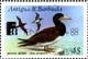 Colnect-6062-412-Brown-Booby-Sula-leucogaster.jpg