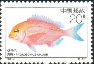 Colnect-1480-069-Red-Seabream-Pagrosomus-major.jpg