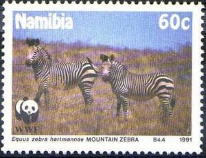 Colnect-1729-456-Mountain-Zebra-Equus-zebra-hartmannae.jpg