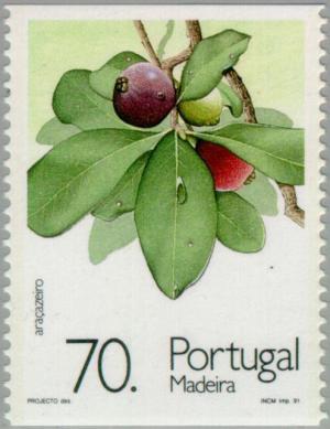 Colnect-186-721-Brazilian-guava.jpg