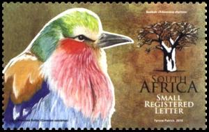 Colnect-2781-755-Lilac-breasted-Roller-Baobab.jpg