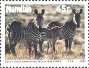 Colnect-5909-959-Mountain-Zebra-Equus-zebra-hartmannae.jpg