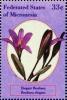 Colnect-5626-885-Brodiaea-elegans.jpg