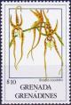 Colnect-4040-925-Brassia-caudata.jpg