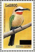 Colnect-3561-476-White-fronted-Bee-eater-nbsp--nbsp--nbsp--nbsp-Merops-bullockoides.jpg