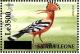 Colnect-3561-490-Eurasian-Hoopoe-nbsp--nbsp--nbsp--nbsp-Upupa-epops.jpg