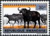 Colnect-1365-896-African-Buffalo-Syncerus-caffer.jpg