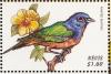 Colnect-1646-483-Painted-Bunting-Passerina-ciris.jpg