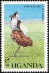 Colnect-1715-768-Kori-Bustard-Ardeotis-kori.jpg