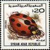 Colnect-2114-400-Ladybug-F-Coccinellidae.jpg