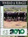 Colnect-2134-819-Water-Buffalo-Bubalus-arnee-.jpg