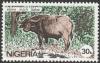 Colnect-4061-020-African-Buffalo-Syncerus-caffer.jpg