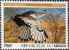 Colnect-4179-097-Black-bellied-Bustard-Lissotis-melanogaster.jpg