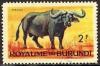 Colnect-981-000-African-Buffalo-Syncerus-caffer.jpg