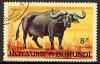 Colnect-981-001-African-Buffalo-Syncerus-caffer.jpg