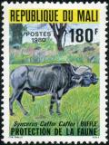 Colnect-2000-319-African-Buffalo-Syncerus-caffer.jpg