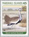 Colnect-3671-483-Black-bellied-Bustard--Lissotis-melanogaster.jpg