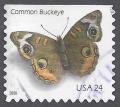 Colnect-5055-567-Common-Buckeye-Junonia-coenia.jpg