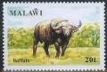 Colnect-864-304-African-Buffalo-Syncerus-caffer.jpg