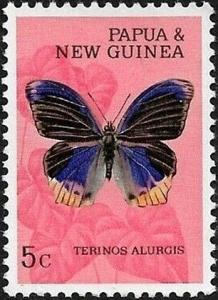 Colnect-5991-503-Nymphalid-Butterfly-Terinos-alurgis.jpg