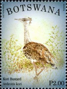 Colnect-2260-971-Kori-Bustard-Ardeotis-kori.jpg