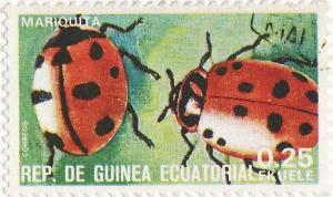 Colnect-1213-626-Ladybug-F-Coccinellidae.jpg