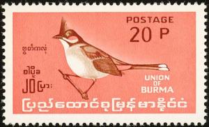 Colnect-1503-867-Red-whiskered-Bulbul-nbsp-Pycnonotus-jocosus.jpg