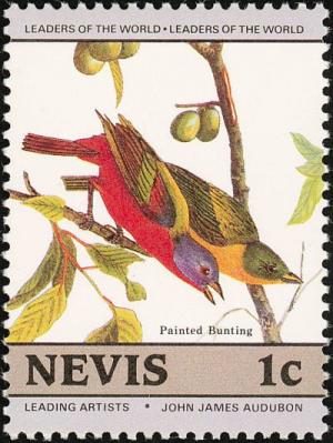 Colnect-1646-376-Painted-Bunting-Passerina-ciris.jpg