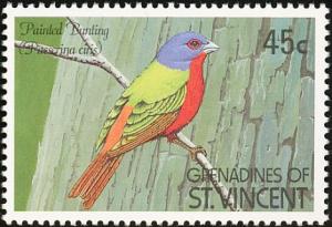 Colnect-1753-964-Painted-Bunting-Passerina-ciris.jpg