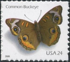 Colnect-202-506-Common-Buckeye-Junonia-coenia.jpg