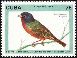 Colnect-2080-411-Painted-Bunting-Passerina-ciris.jpg