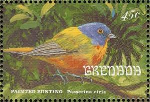 Colnect-2192-544-Painted-Bunting-Passerina-ciris.jpg