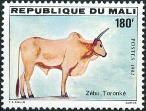 Colnect-2273-555-Toronk%C3%A9-Zebu-Bos-primigenius-indicus.jpg