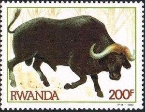 Colnect-2631-969-African-Buffalo-Syncerus-caffer.jpg