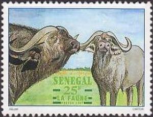 Colnect-2700-417-African-Buffalo-Syncerus-caffer.jpg