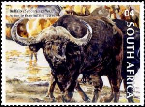 Colnect-2824-731-African-Buffalo-Syncerus-caffer.jpg