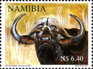 Colnect-3063-325-African-Buffalo-Syncerus-caffer.jpg